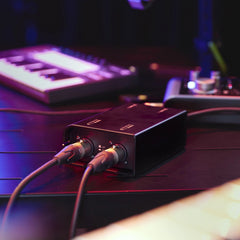 Palmer kyll Passive 2-Channel Line Isolation Box