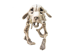 Squelette de chien animé avec effets lumineux et sonores