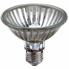 PAR 30 Halogen Bulb Flood 100W 230V ES Fitting