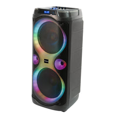 Ibiza Columba Karaoke PA Speaker 1000W Dual Wireless Microphone Bluetooth *B Stock*