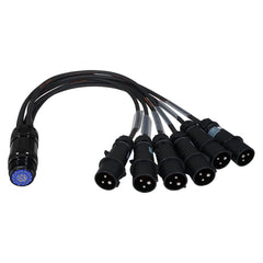 Mennekes 16A Mennekes Male - Socapex 19-Pin Female 2.5mm Fan-In Cable