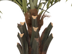 EUROPALMS Kentia palmier deluxe, plante artificielle, 300cm
