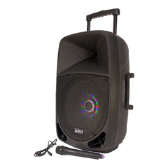 SYSTÈME SONORE PORTABLE IBIZA PARTY-15LED 15" 800W
