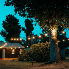PCE 10m BC Festoon, 0.3m Spacing with 16A Plug and Socket