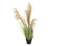 EUROPALMS Herbe argentée chinoise, artificielle, 110 cm