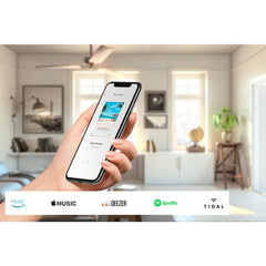 WHD BTR 405 LV Invisible Sound Speaker System Bluetooth for Mirror, Furniture, Kitchen, Ceiling or Wall
