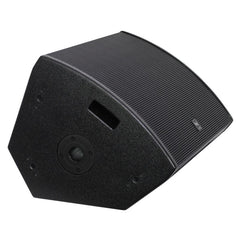 W Audio SM 15 Stage Monitor