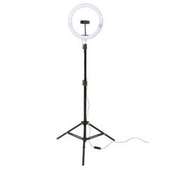 On-Stage LED Ring Light Kit for Performer Band Filming Streaming