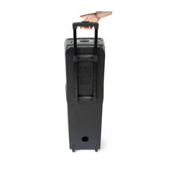 Ibiza Sound STUPDJ1400 “Special Karaoke” StandUp Box 2 x 10" 1400W Speaker