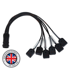 eLumen8 Socapex 19-Pin Male - 15A Female 1.5mm Fan-Out Cable