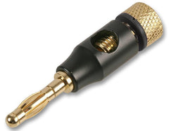 Pro Signal 4mm Plug Black / Gold Black Binding Plug Amplifier Connector for Speaker Wire