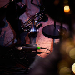 Palmer RIVER Tauber Passive Microphone Merge Box