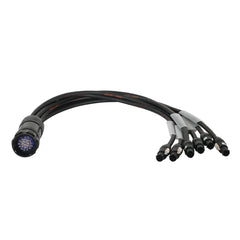 eLumen8 Socapex 19-Pin Male - PowerCON True1 2.5mm Fan-Out Cable