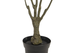 EUROPALMS Dracena, green-red, artificial,  90cm