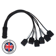eLumen8 Socapex 19-Pin Male - 15A Female 1.5mm Fan-Out Cable