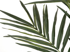 EUROPALMS Palmier Kentia, plante artificielle, 300cm