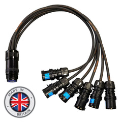 eLumen8 16A Male - Socapex 19-Pin Female 2.5mm Fan-In Cable