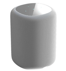 WiiM Sound Wireless Smart Speaker- White