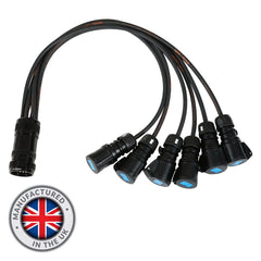 eLumen8 Socapex 19-Pin Male - 16A Female 2.5mm Fan-Out Cable