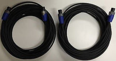 2x Câble pour haut-parleur Neutrik NL2FX (20 m)