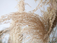 EUROPALMS Herbe argentée chinoise, artificielle, 140 cm