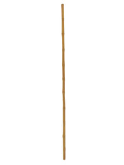 Europalms Bamboo tube, 3cm, 200cm