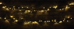 LYYT Lampes compactes robustes à 180 LED Conn WW