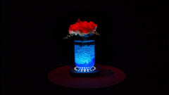 Chauvet Freedom Centerpiece Battery Wireless LED Uplighter for Table Decor