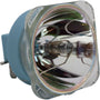 Lighting Accessories