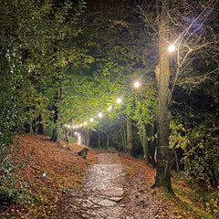 PCE 10m BC Festoon, 0.3m Spacing with 16A Plug and Socket