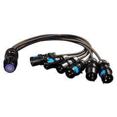 eLumen8 16A Male - Socapex 19-Pin Female 2.5mm Fan-In Cable