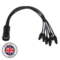 eLumen8 Socapex 19-Pin Male - PowerCON True1 1.5mm Fan-Out Cable