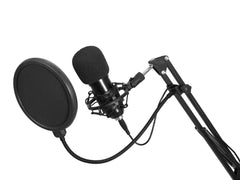 Ensemble de microphones de diffusion à condensateur USB Omnitronic Bms-1C