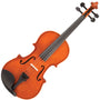 Violins and Other Bowed Instruments
