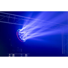 AFX BEEDREAM-1940RGB Tête mobile à zoom pour lavage des yeux d'abeille avec effet d'anneau 19X 40W RGBW LED Inc Flight Case