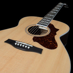Godin Fairmount Ch Ltd Rosewood Hg Electro Acoustic Guitar  W/bag