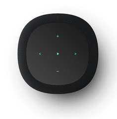 WiiM Sound Wireless Smart Speaker- Black