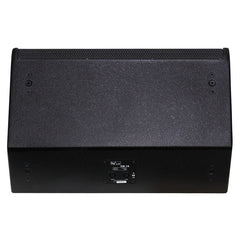 W Audio SM 15 Stage Monitor
