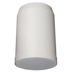 DAP HS-510P Enceinte suspendue 10 W 5"