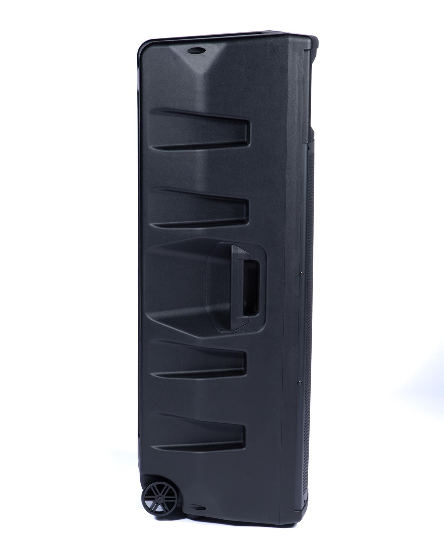Intimidation Lizard 2x Intimidation PI-215 MK3 Total: 1000W RMS 2 x 15