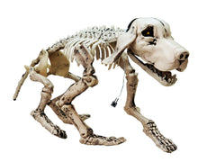 Animated dog skeleton with light and sound effects