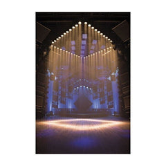 Showtec LED Par 64 Aircraft DMX 4� Beam Angle