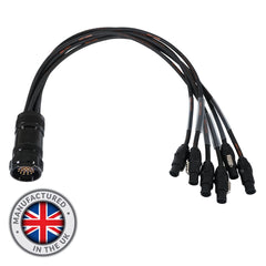 eLumen8 Socapex 19-Pin Male - PowerCON True1 1.5mm Fan-Out Cable