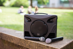 QTX Delta 50 Portable Sound System with Bluetooth