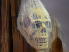 Europalms Halloween-Figur Totenkopf im Spinnennetz, 30 cm