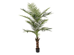 EUROPALMS Palmier Kentia, plante artificielle, 240cm