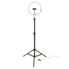 On-Stage LED Ring Light Kit for Performer Band Filming Streaming