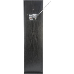 Madison CENTER250-PLUS Aktiver Multimedia-Tower-HiFI-Lautsprecher Bluetooth-DAB-CD-Player