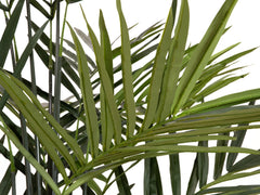 EUROPALMS Palmier Kentia, plante artificielle, 300cm