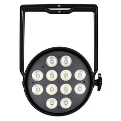 LEDJ Astra 12 Quad Par